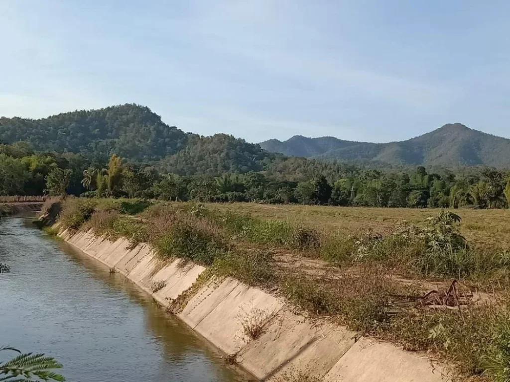 ขายที่ดินติดน้ำ ติดเขา สันป่าตอง น้ำบ่อหลวง ราคาถูก