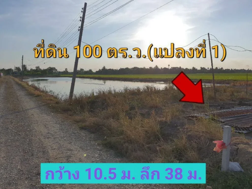 ขายที่ดินสร้างบ้าน 100 ตารางวา ถมแล้วพร้อมปลูกสร้าง บรรยากาศฟินเวอร์ อำเภอ ลาดหลุมแก้ว ปทุมธานี