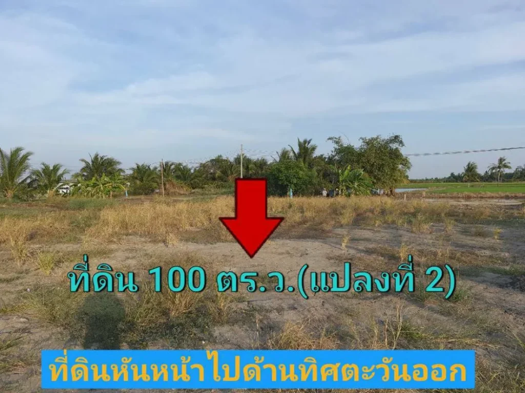 ขายที่ดินสร้างบ้าน 100 ตารางวา ถมแล้วพร้อมปลูกสร้าง บรรยากาศฟินเวอร์ อำเภอ ลาดหลุมแก้ว ปทุมธานี