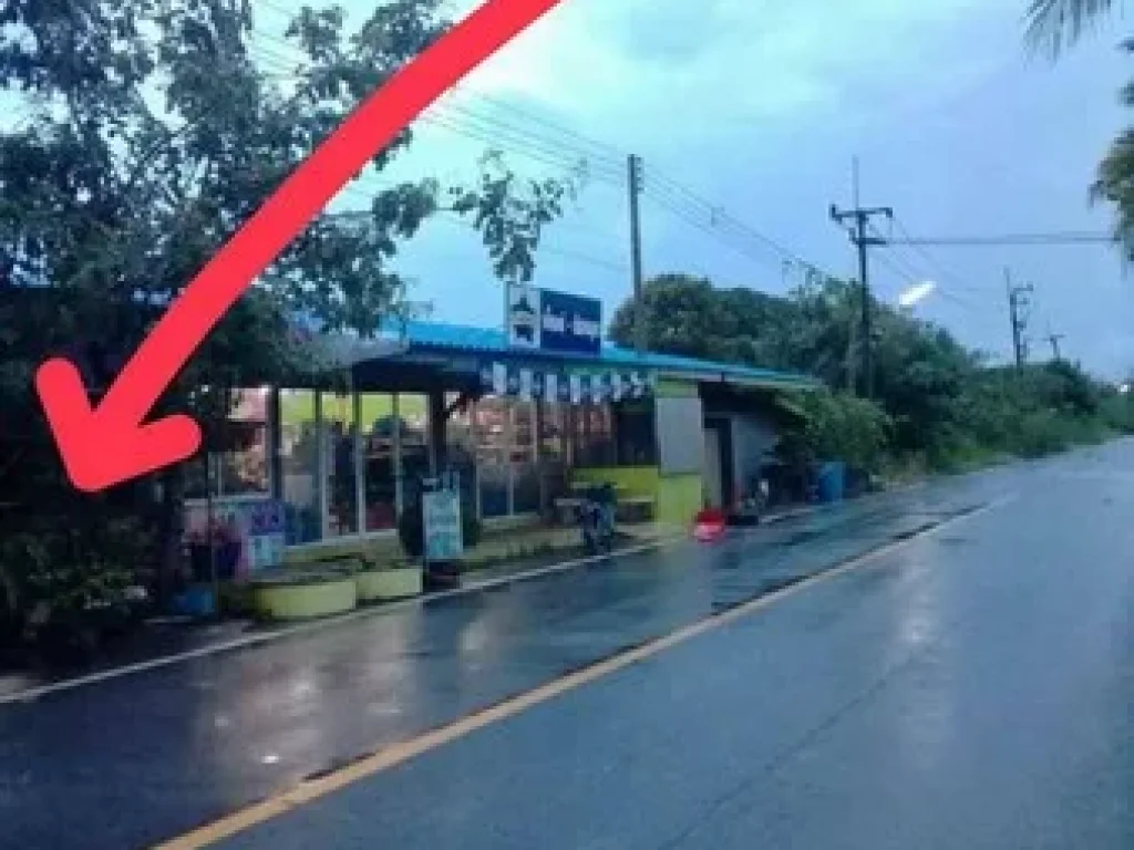 ขายที่นา จังหวัดปทุมธานี เนื้อที่ 50 ไร่ ที่ดินติดถนนใหญ่