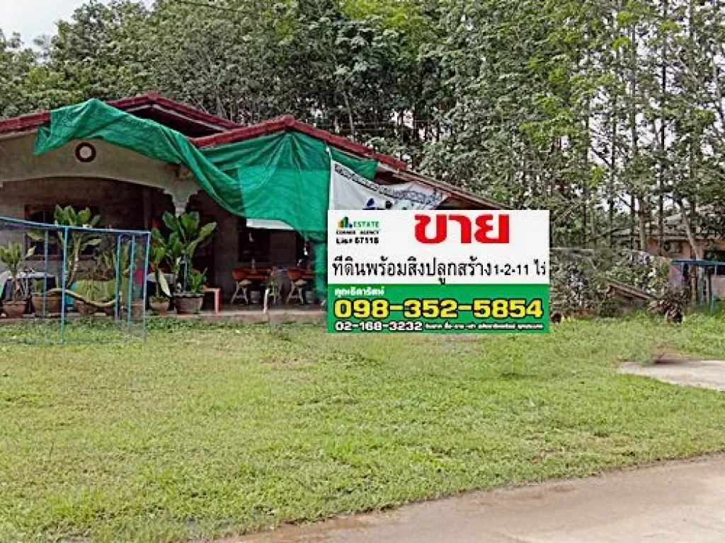 ขาย บ้านเดี่ยว 1 ชั้น พื้นที่ 1-2-11 ไร่ เขตเมือง ซเมืองชุมพร แยก 8 ติดถนน