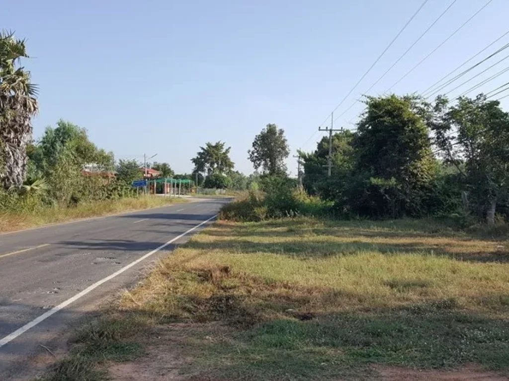 ขายที่ดินเปล่า ขายถูก ติดถนนลาดยาง ตสระคู อสุวรรณภูมิ จร้อยเอ็ด ติดต่อ คุณรัก 063-396-3264