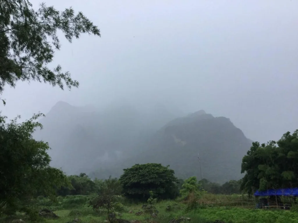 ขายที่ดินเชียงดาว วิวดอยหลวง บรรยากาศเย็นสบายตลอดทั้งปี เนื้อที่ 9ไร่