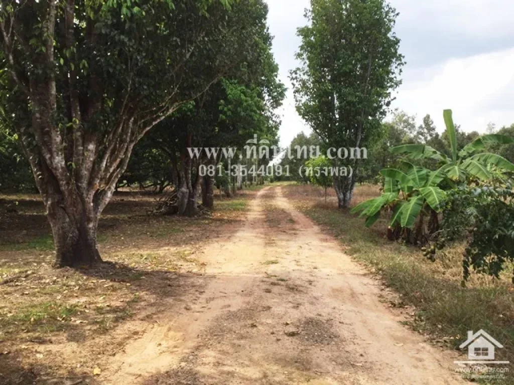 ขายสวนทุเรียน-มะขาม จันทบุรี โฉนด 24-2-16ไร่ ตมะขาม อมะขาม จจันทบุรี รหัส L314