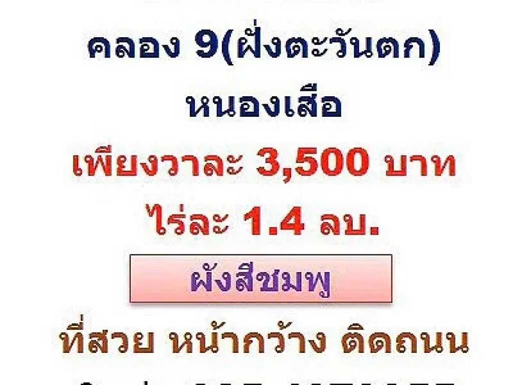 ขายที่ดินเปล่า 2 ไร่ คลอง 9 ฝั่งตะวันตก หนองเสือ ติดถนน หน้ากว้าง ถูกกว่าราคาตลาด