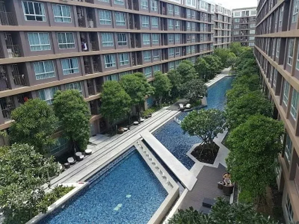 ขายด่วน D condo creek ภูเก็ต 31 ล้าน 2 ห้องนอน sell D condo creek Phuket 31MB 2bedrooms