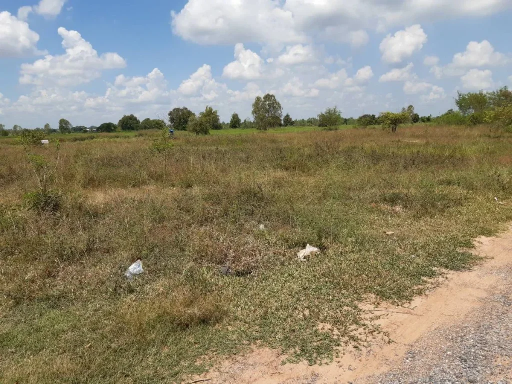 ขายที่ดินอุดร15ไร่ครับ จังหวัดอุดรธานี ติดถนนใหญ่ ติดปั้มปตท