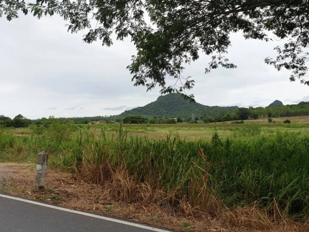 ขายที่ดินบางสเหร่ สัตหีบ ติดทางรถไฟความเร็วสูง ใกล้เขาชีจรรย์ สวนนงนุช และสวนน้ำรามายณะ 106 ไร่ราคาจบได้จริง