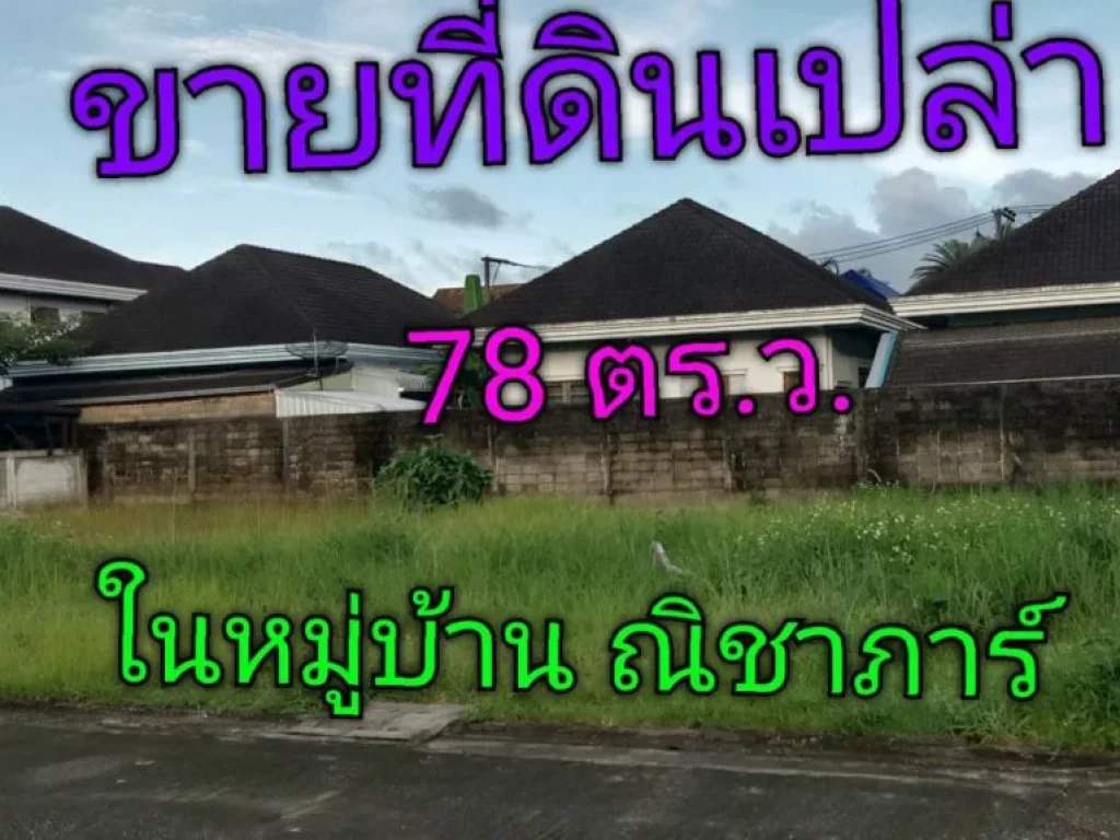 ขาย ที่ดินเปล่า จัดสรร 78 ตรว ในหมู่บ้าน ณิชาภาร์ ชุมพร ที่สวย เหมาะสำหรับ สร้างบ้านพัก อยู่อาศัย เพราะเป็นแหล่งชุมชน พื้นที่ร่มเย็น