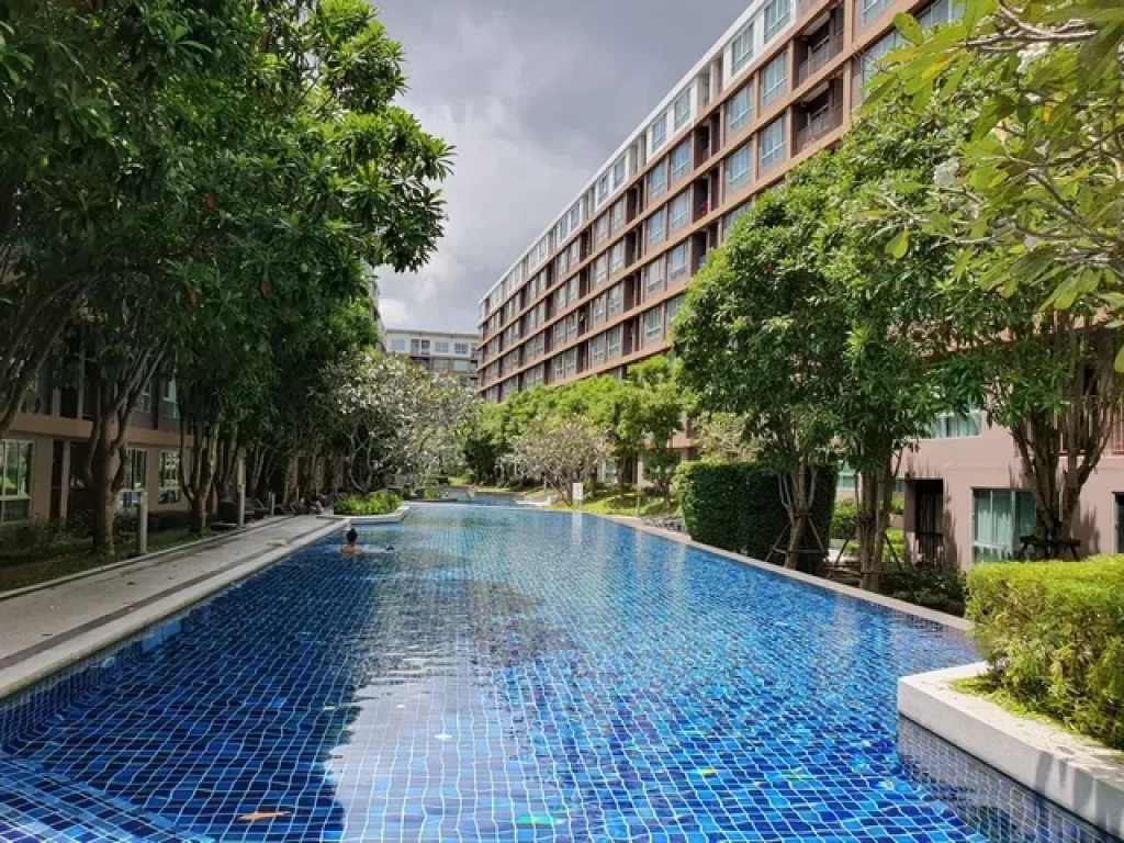 ให้เช่า D condo ครีก ภูเก็ต 30 ตรม 1 ห้องนอน 1 ห้องน้ำ ชั้น 8 อาคาร C ชั้น 8 วิวสระว่ายน้ำ