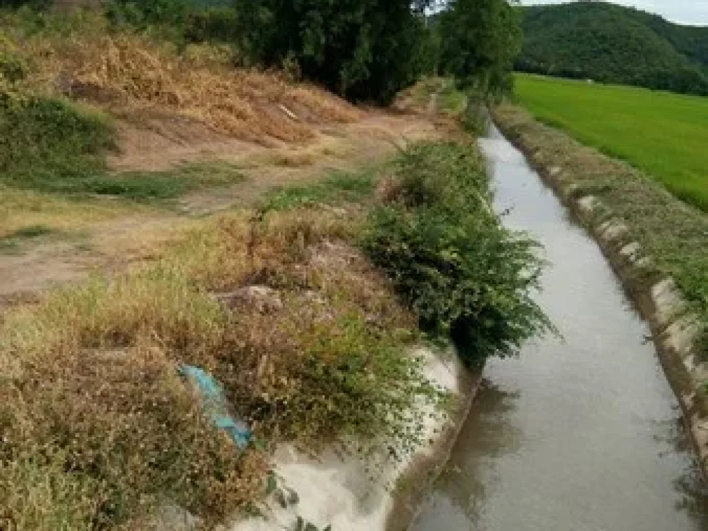 ขายที่ดินเหมาะทำสวนติดคลองส่งน้ำมีน้ำตลอดปีจสุพรรณบุรี