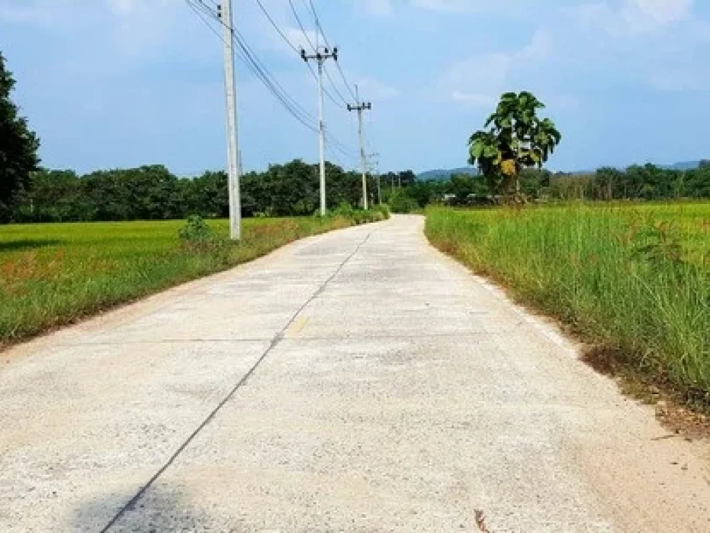 ขาย ที่วิวเขาล้อม ท้ายติดลำรางสาธารณะมีน้ำทำเกษตรดีค่ะ 4 ไร่กว่า ตท่ามะปราง อแก่งคอย จสระบุรี