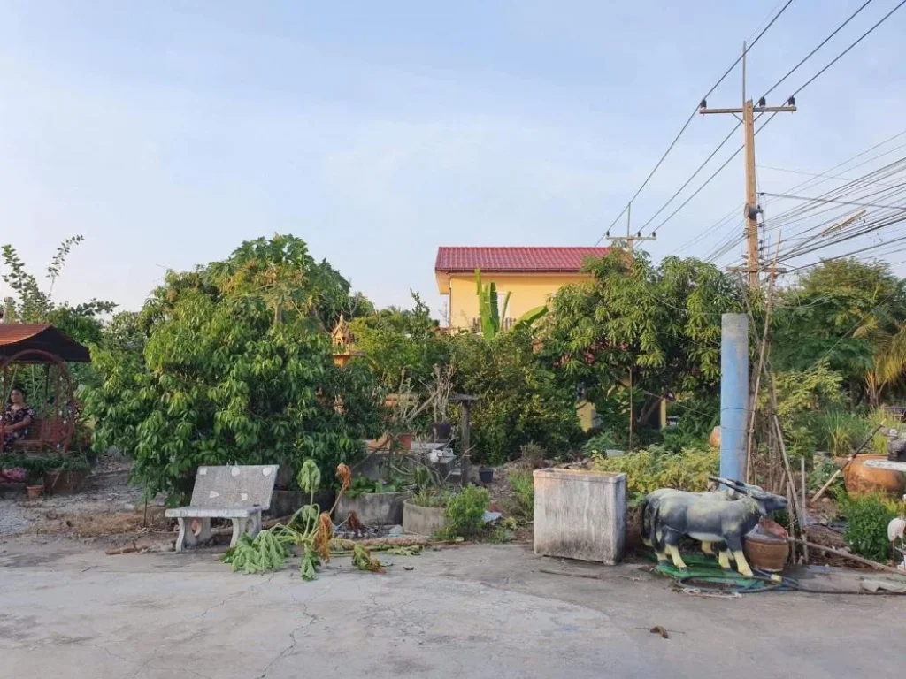 ขายที่ 1ไร่พร้อมสิ่งปลูกสร้าง ติดถนน คลอง7 คลองหลวง จปทุมธานี