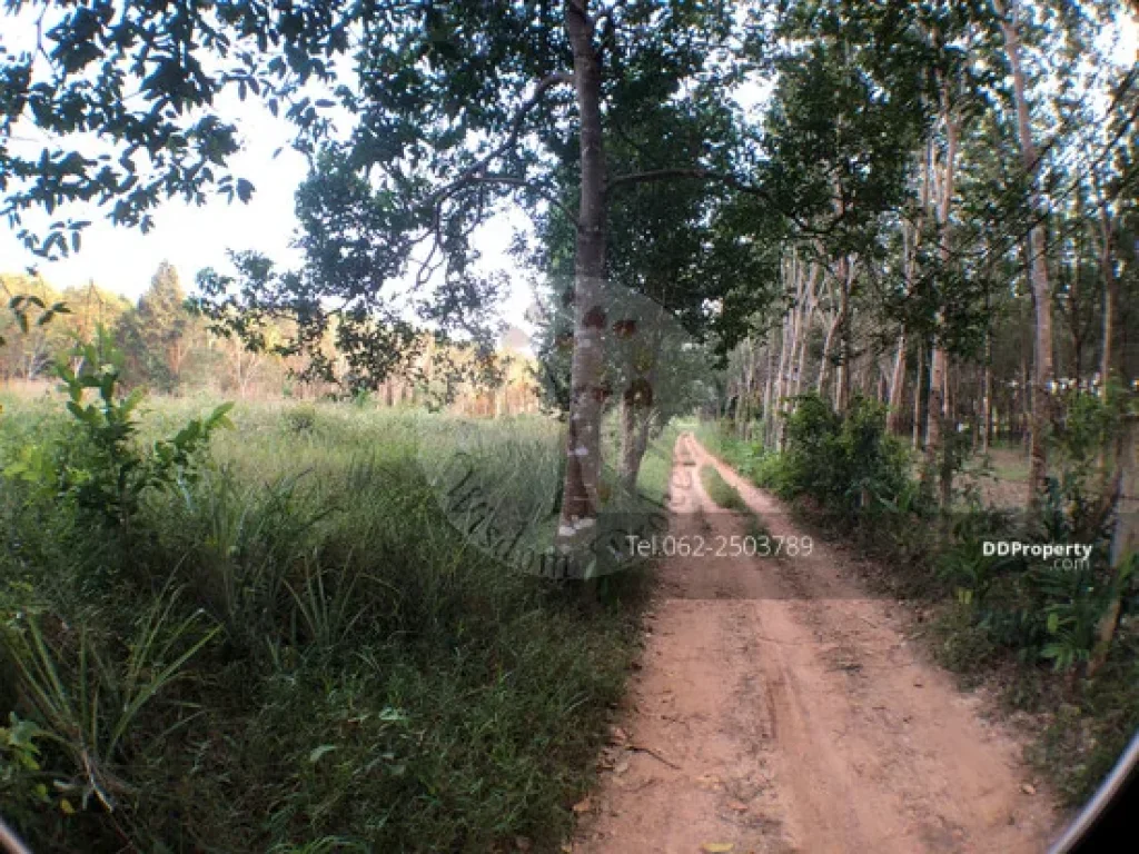 ขายที่ดินติดถนนทางหลวงสายบางกระดาน-ท่าจอด 8 ไร่เศษ ใกล้ สนามบินตราด ติดต่อ ธนภณ 062-250-3789 Line thanaphon59