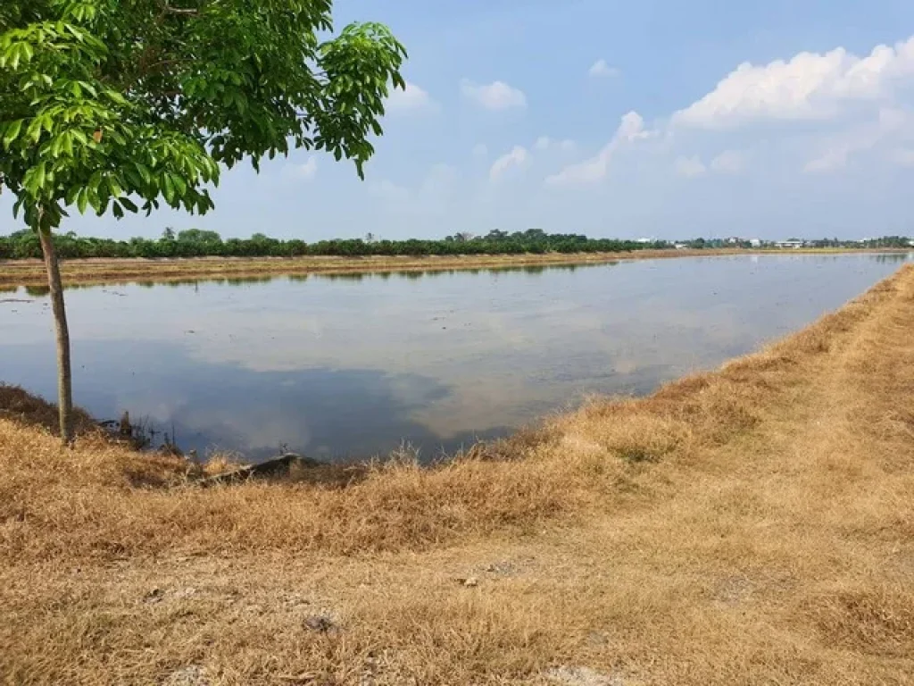 ขายที่ดินเปล่า ซอยเลียบคลองมหาโยธา ปทุมธานี 14 ไร่ 200 ตรว แปลงที่ดินสวย แหล่งชุมชน ใกล้ถนนตัดใหม่