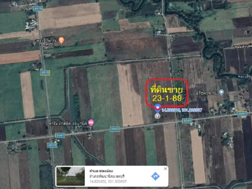 ขายที่ดิน 23-1-89 ไร่ ใกล้เขื่อนป่าสักชลสิทธิ์ ที่ว่าการอำเภอ ตลาด ติดถนนสองด้าน ถนนลาดยาง มีไฟฟ้า ประปา อากาศดี พัฒนานิคม ลพบุรี