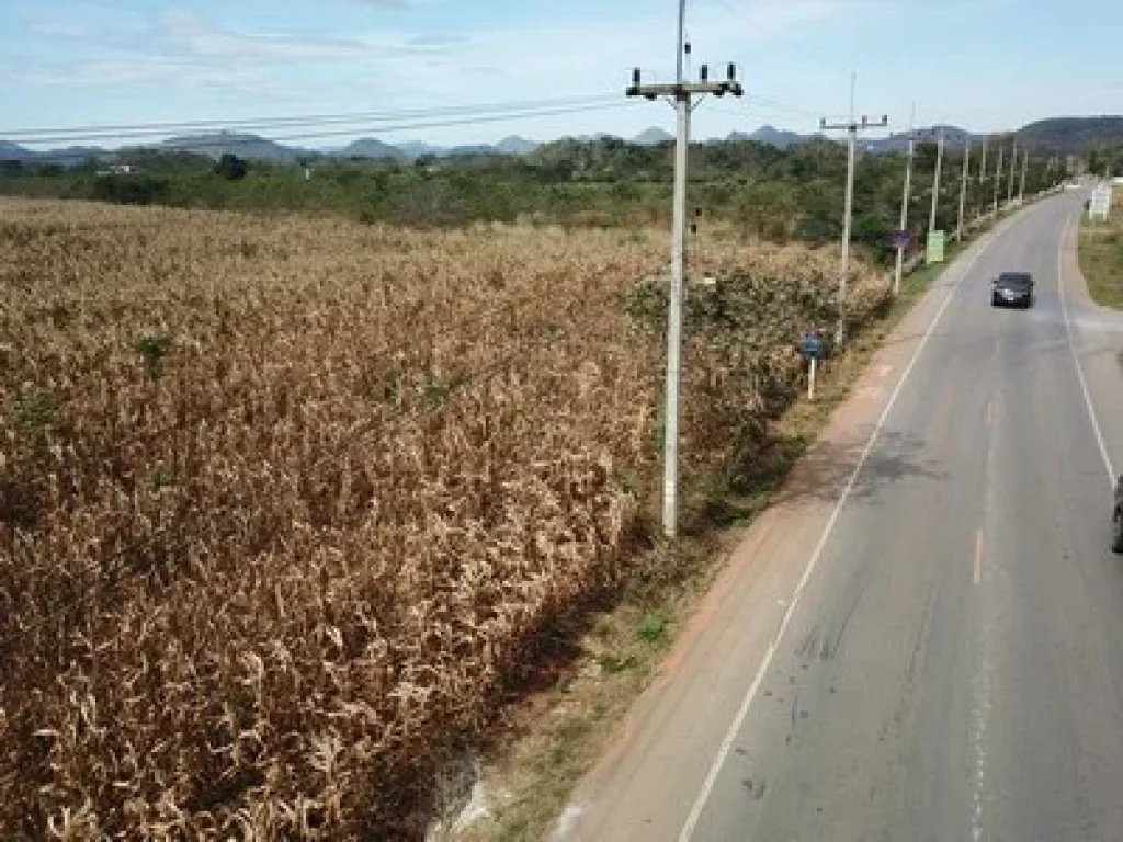 ขายที่ดิน เขาใหญ่ ตหมูสี อปากช่อง 110ไร่ วิวเขา สวยมากๆ