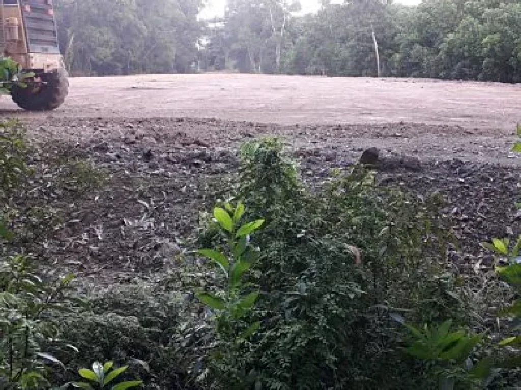 Nice Land 3 Rais for sale for House business near Sea