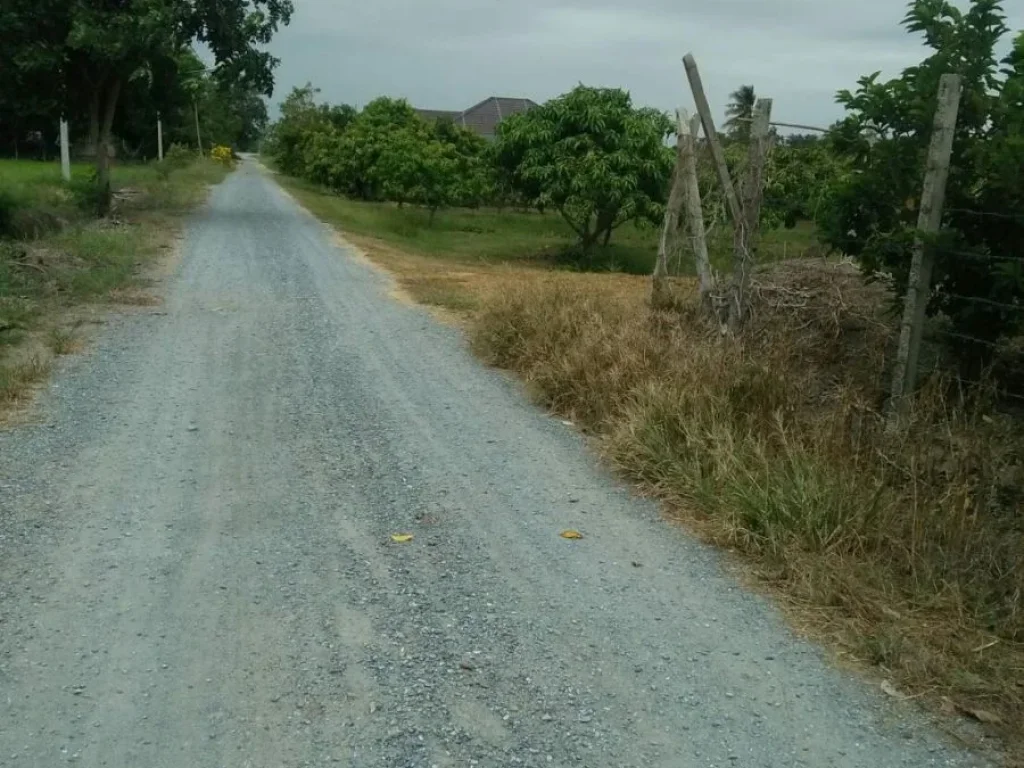 ขายที่ดิน 2 ไร่ อ เมืองฯ ต สนามคลี จ สุพรรณบุรี