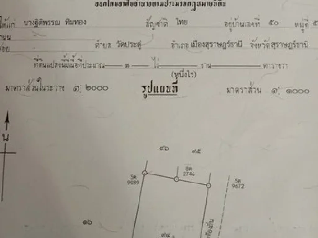 ที่ดิน อ เมือง สุราษฎร์ธานี เนื้อที่ 1 ไร่ หน้ากว้าง 30 เมตร ติดถนนคอนกรีด แปลงสี่เหลี่ยมผืนผ้า