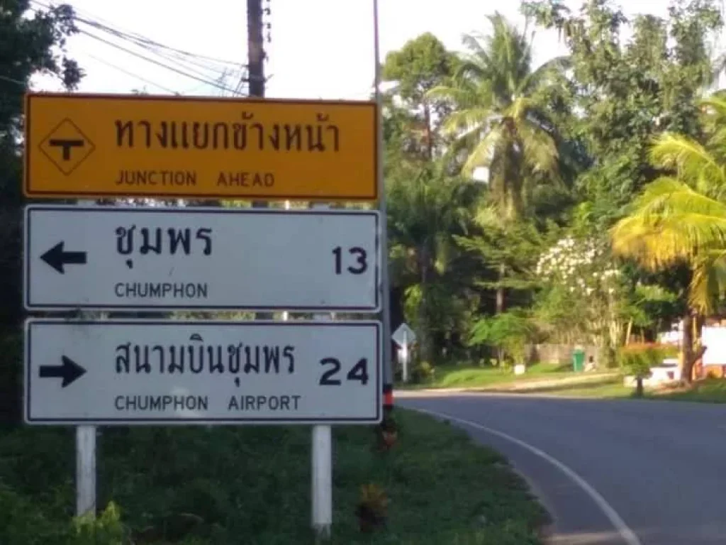 ขายที่ดินเปล่า ใกล้หาดทุ่งวัวแล่น ตำบลสะพลี อำเภอปะทิว จังหวัดชุมพร เนื้อที่ 98 ตารางวา