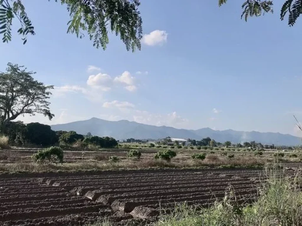 สวนพร้อมบ่อปลาเหมาะทำบ้านสวน ที่ตั้งตำบลบ้านกาด อำเภอแม่วาง จังหวัดเขียงใหม่