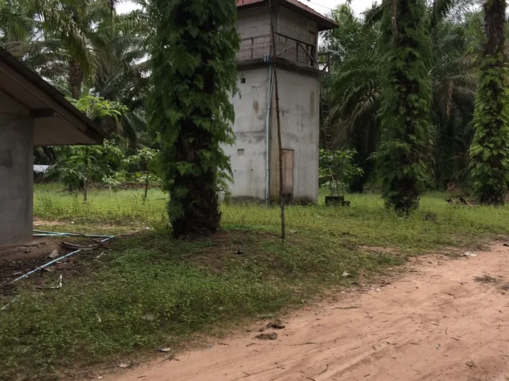 ขายที่ดินจังหวัดสุราาฏร์ธานี 100 ไร่