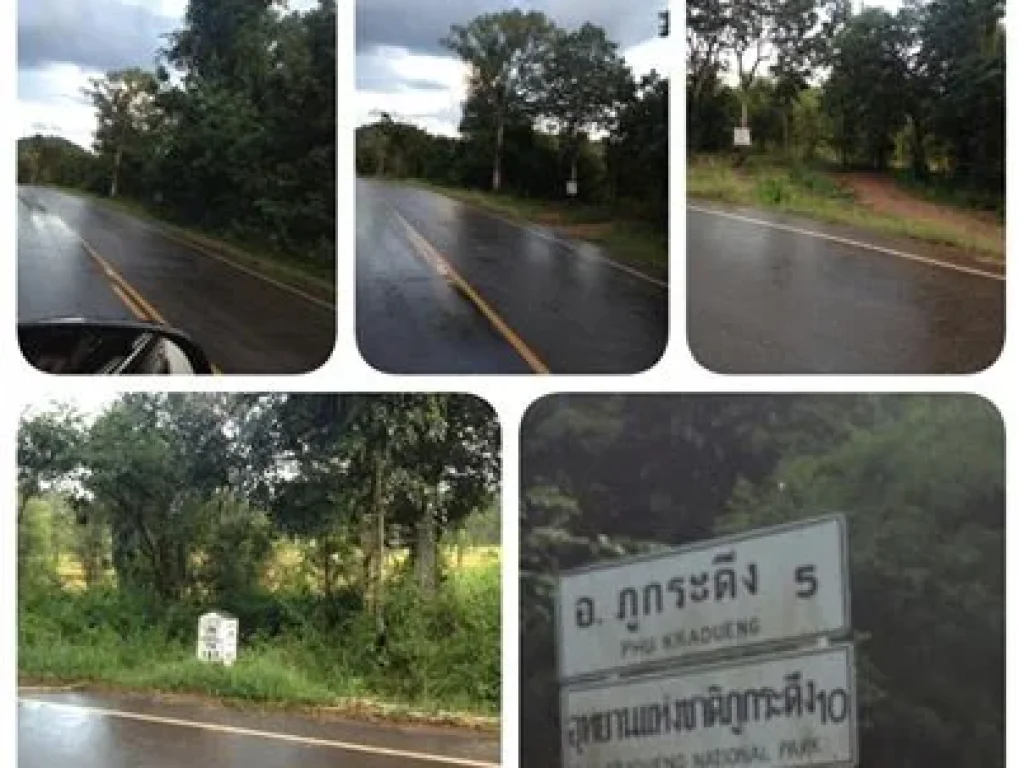 ขายที่ดิน 24 ไร่ ติดถนนหลวง 201 อำเภอภูกระดึง จเลย