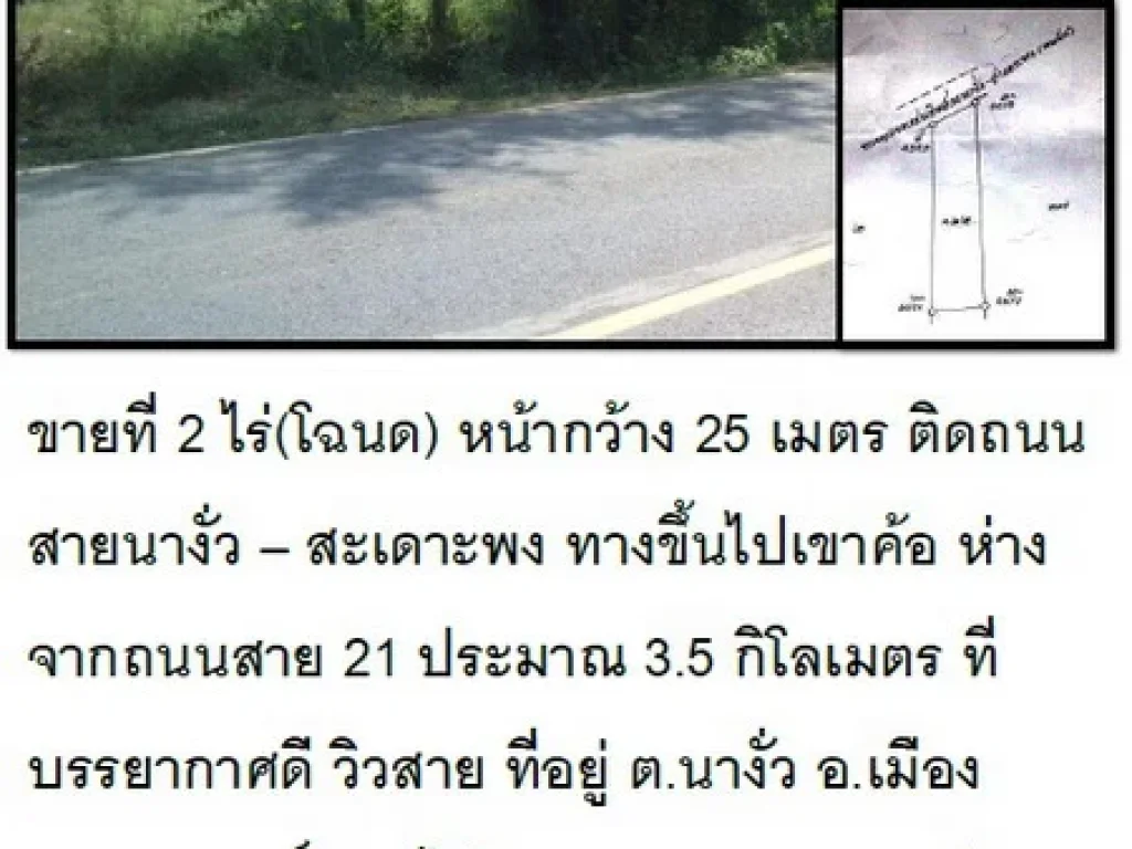 ขายที่ 2 ไร่โฉนด หน้ากว้าง 25 เมตร ติดถนนสายนางั่ว  สะเดาะพง ทางขึ้นไปเขาค้อ