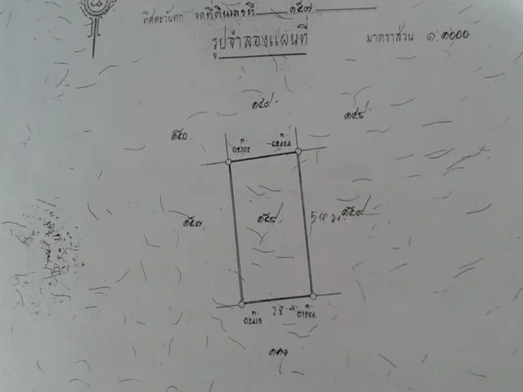 ขายที่ดินในซอยเขาพระตำหนัก 3 พัทยา