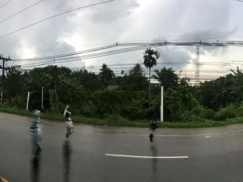 ขายที่ดินติดถนนใหญ่ทำเลดี