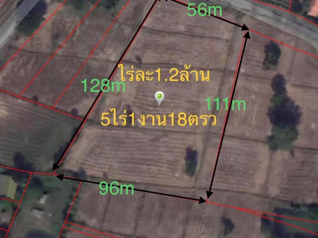 ขายที่ดินหลังโรบินสันบุรีรัมย์ด่วน 5ไร่1งานแบ่งได้