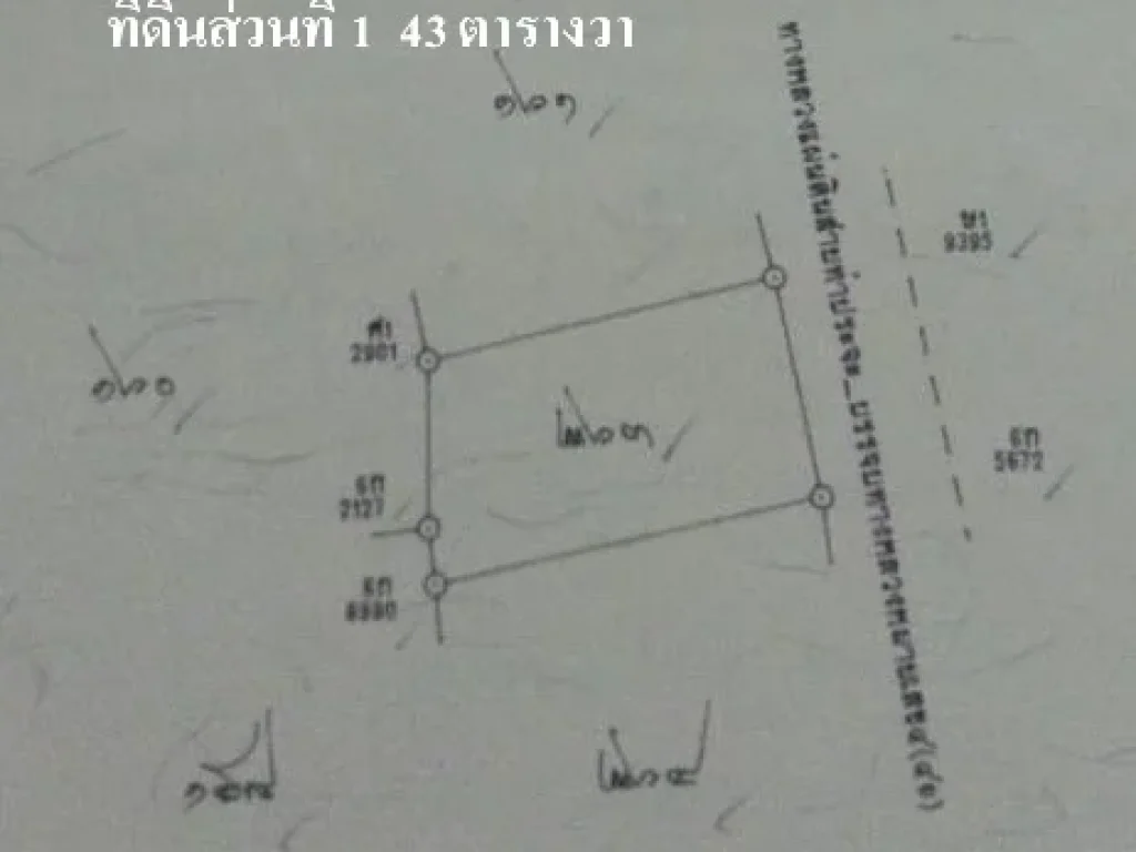 ขายที่ดินถมแล้ว 25 ไร่ จังหวัดพัทลุง