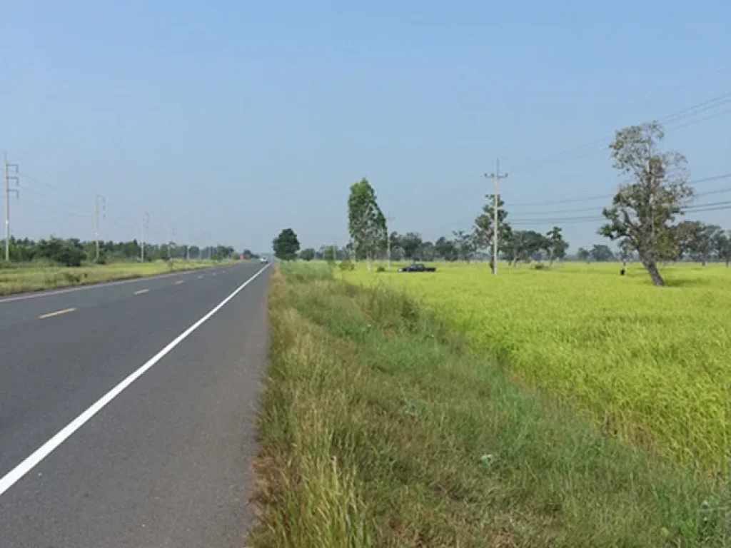 ขายที่ดิน 3 แปลงสวยๆ อพยัคฆภูมิพิสัยขอปรับราคาเพิ่ม