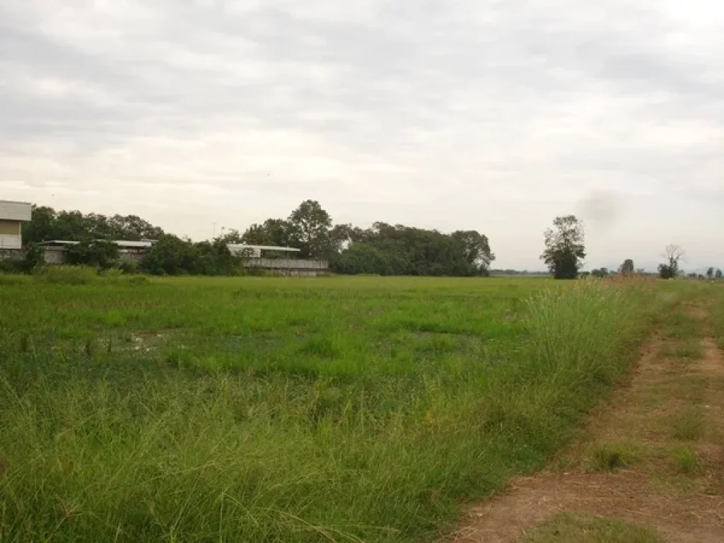 ขายด่วนที่ดินทำเลดี20ไร่ติดถนนสายเด่นชัย-พิษณุโลก