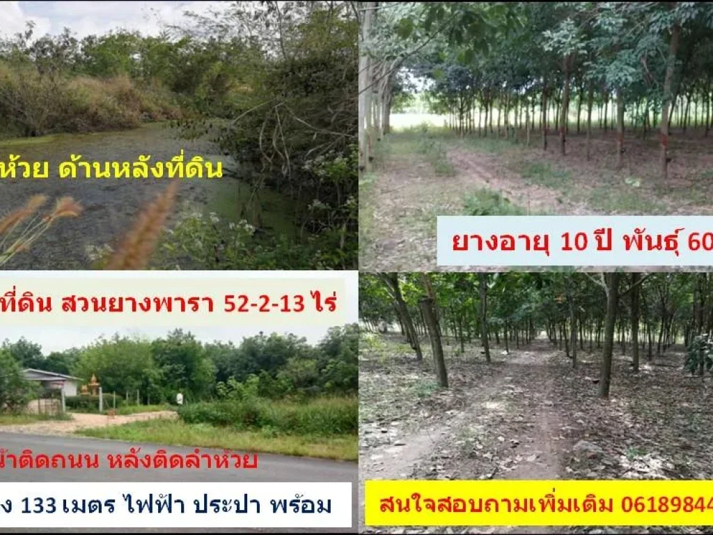 ขายที่ดิน พร้อมสวนยางพารา ติดถนนลาดยาง