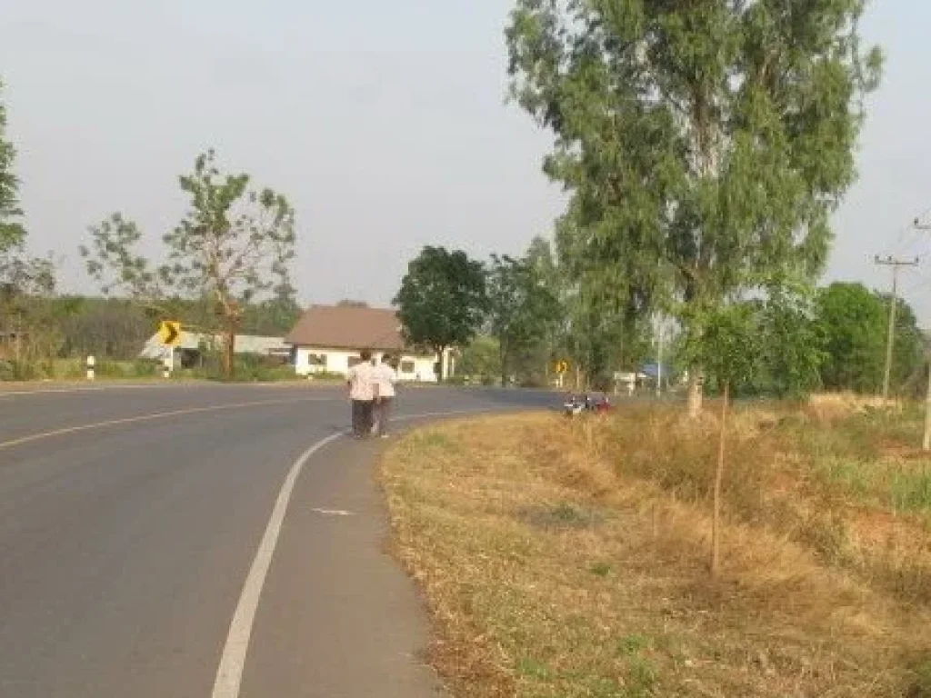 ขายที่ดินสวนยาง 3 ปี 22 ไร่ ติดถนนท่าคันโท - หนองกุงศรี