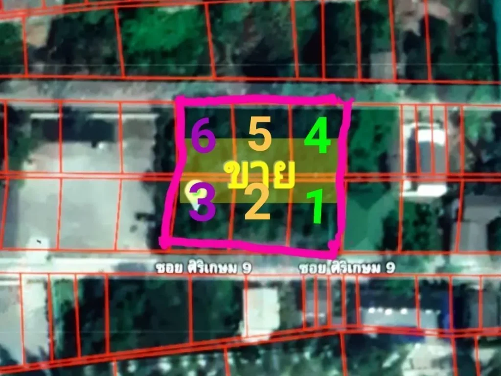 ขายที่ดิน 480 ตรว6โฉนด ถพุทธมณฑล สาย3 หลังโรงเรียนสารสาสน์ อัสสัมชัญ ธนบุรี 28000฿ตรว