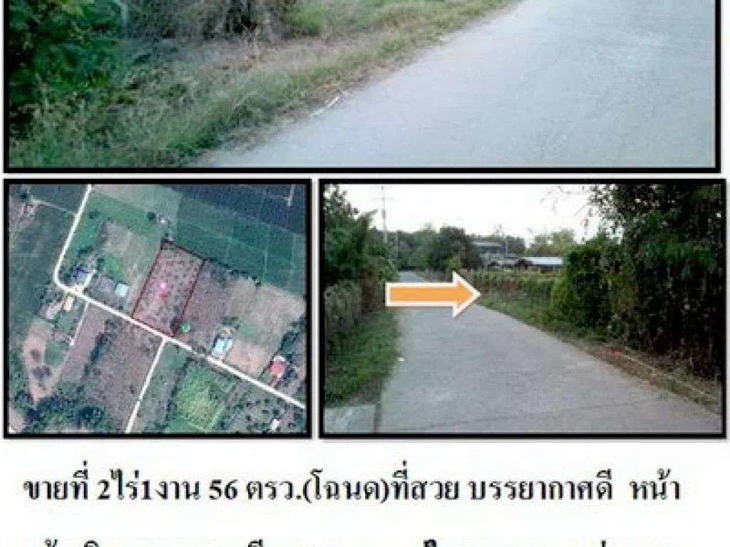 ขายที่ดิน 2ไร่ บ้านพี้ Land for sale in Thailand