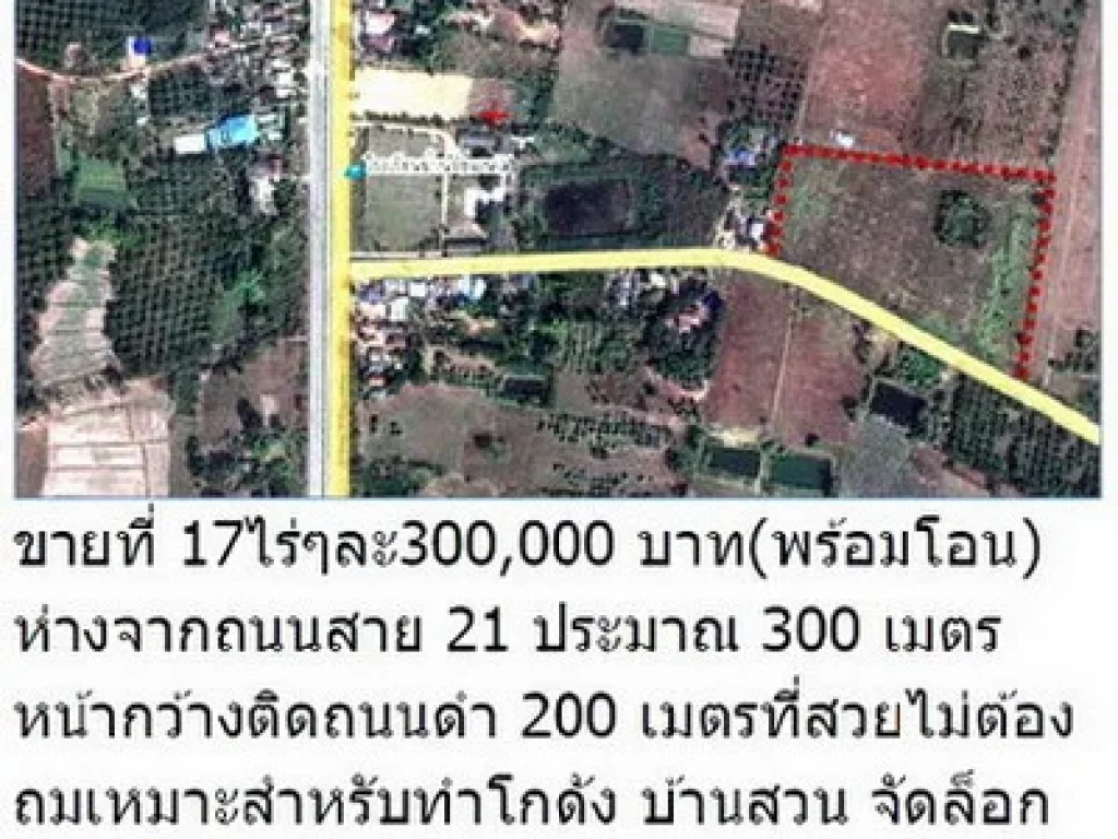 ขายที่ 17 ไร่หน้ากว้าง 200 เมตร ติดถนนดำ