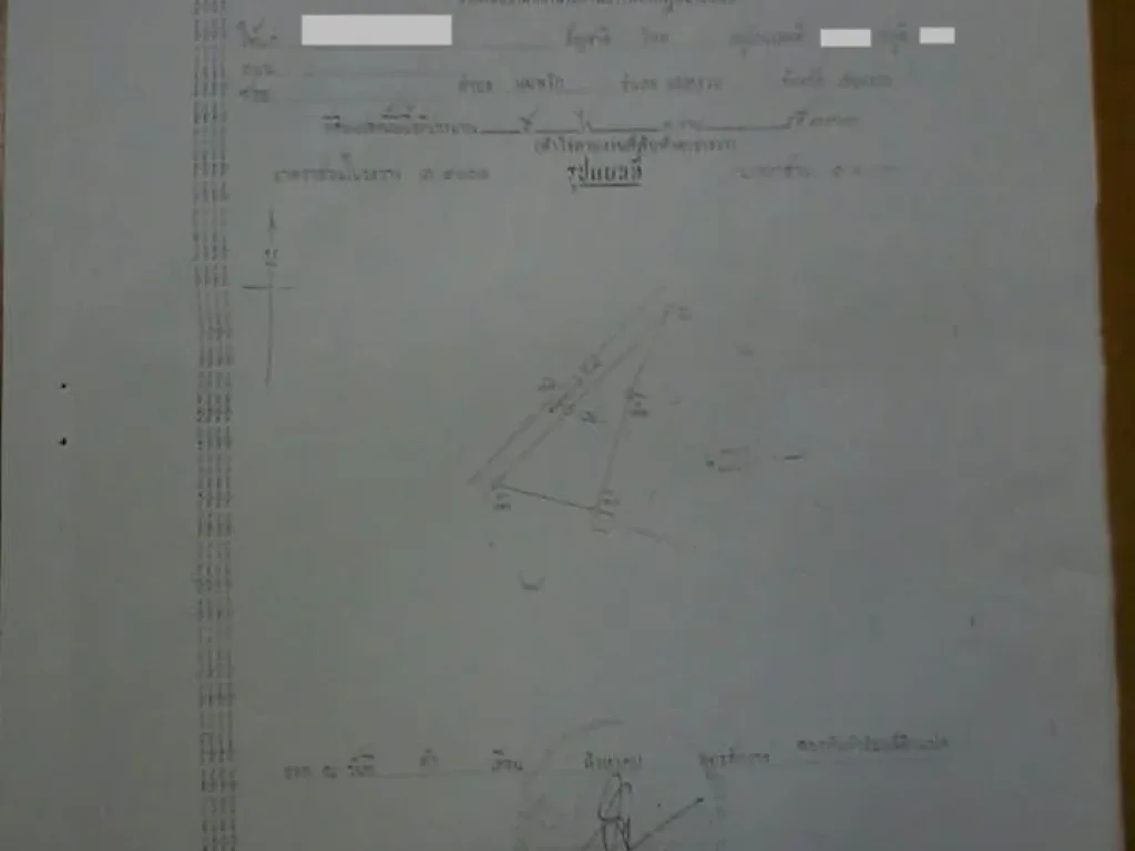 ด่วนมากขายที่ดินพร้อมสวนลำไย 5-3-45 ตรว ตแม่พริก อแม่สรวย จเชียงราย