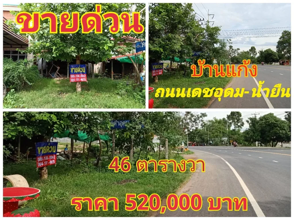 ขายที่ดิน บ้านแก้ง 46 ตารางวา ติดทางหลวงแผ่นดิน เดชอุดม-น้ำยืน