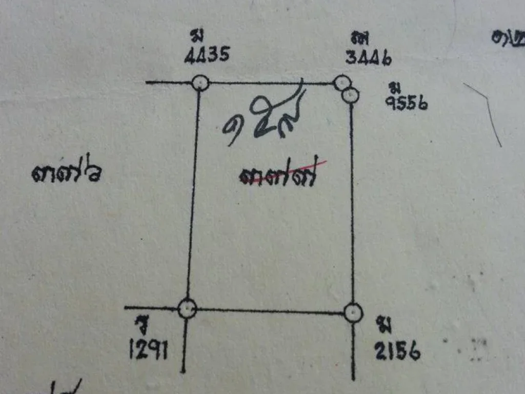 204ตรวใกล้วัดเขาจำปา39แสนพร้อมโอน