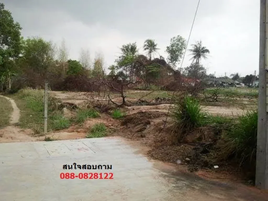 ขายที่ดิน 1ไร่ หนองขาม