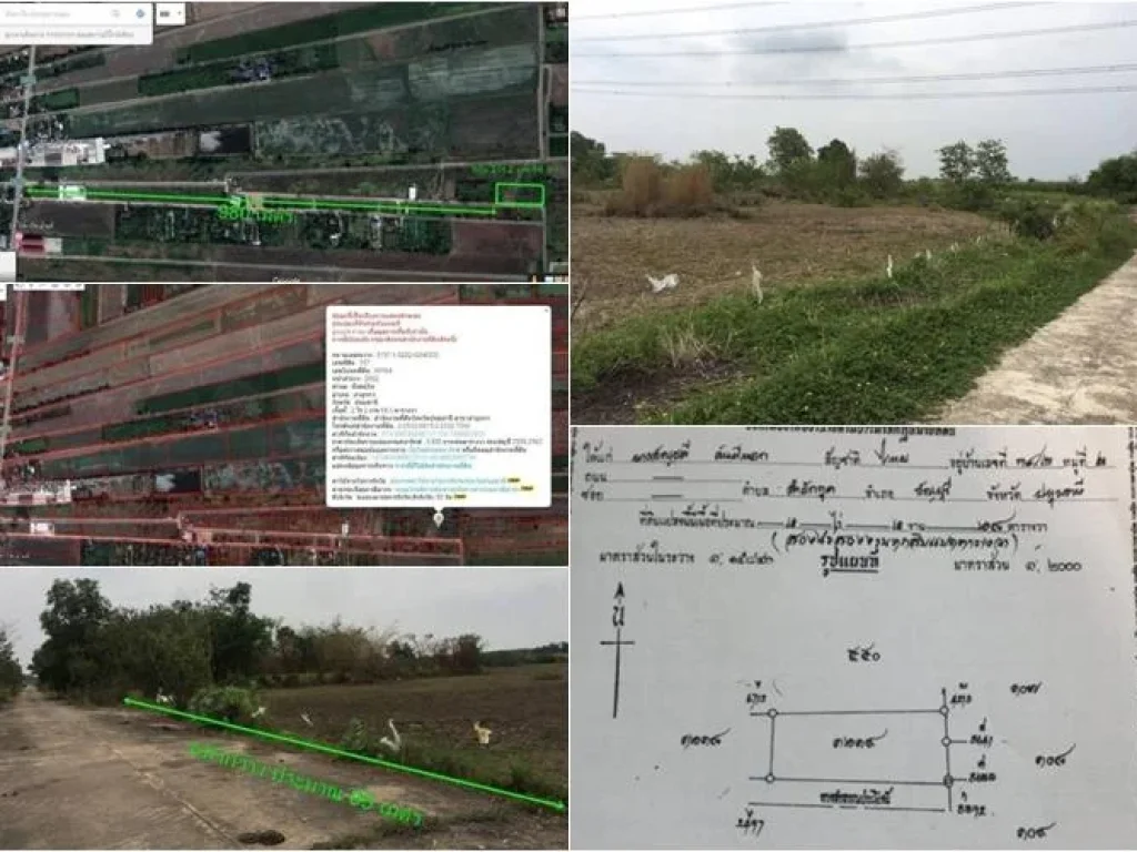 ที่ดินต่ำกว่าราคาประเมินกรมที่ดิน 2 ไร่ครึ่ง ลำลูกกาคลอง 12