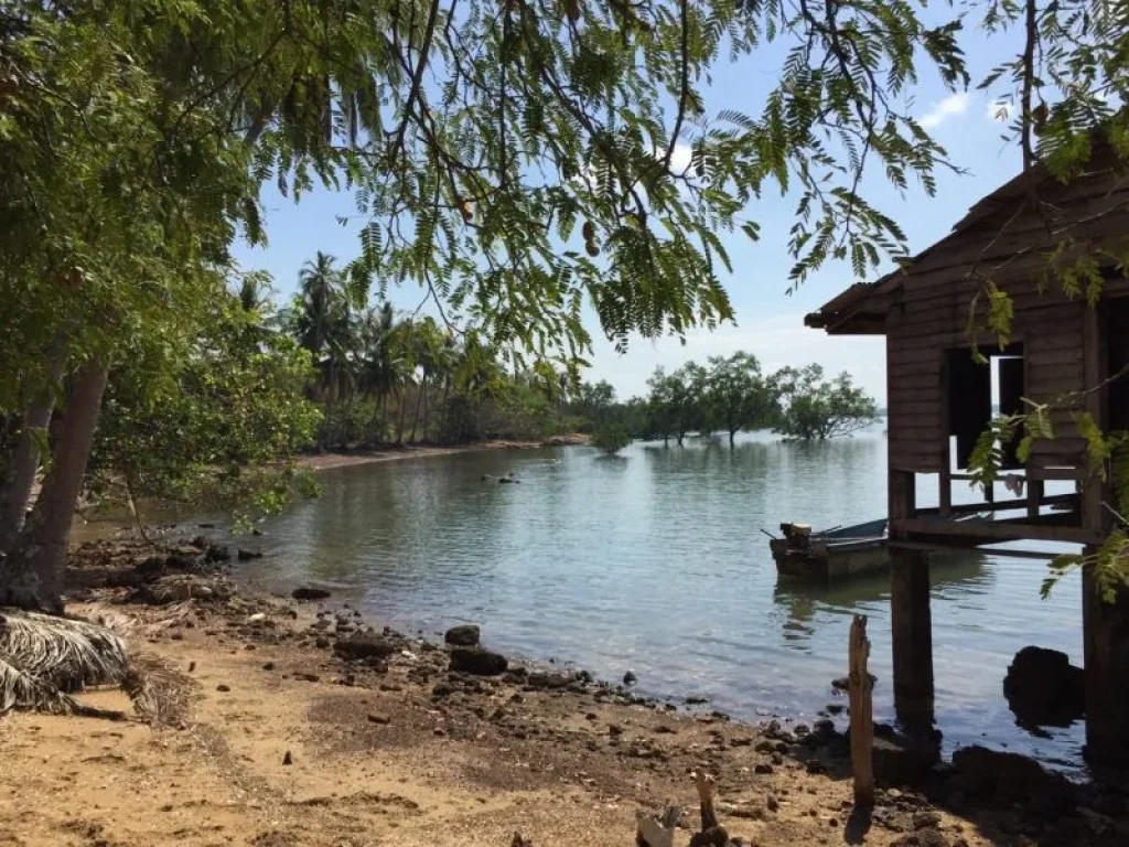 ขายที่ดินโฉนด 120 ไร่ เกาะพร้าว จังหวัดสตูล