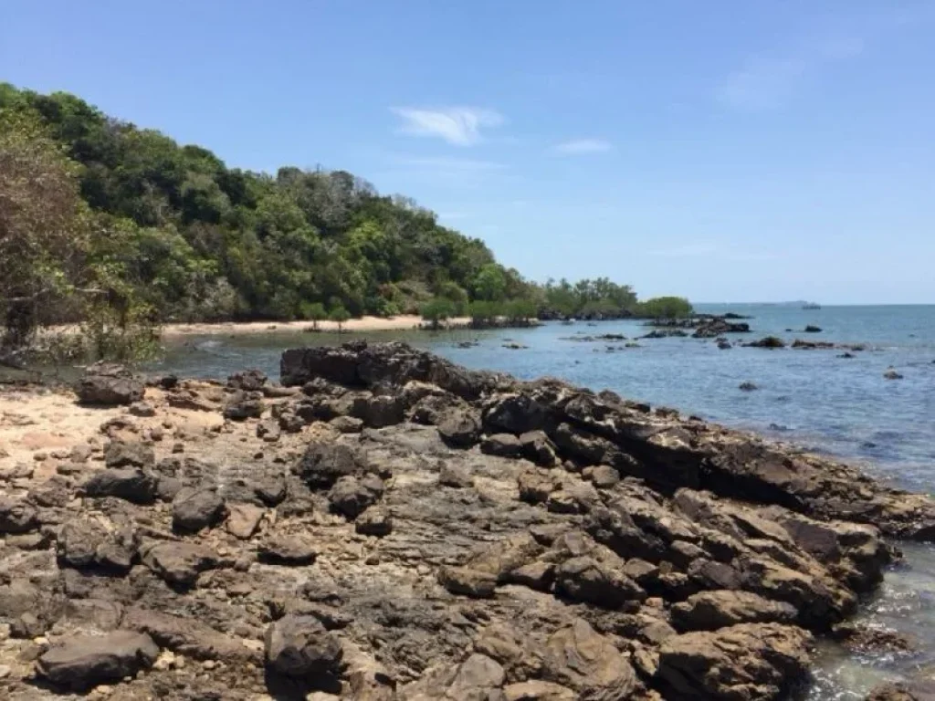 ขายที่ดินโฉนด 120 ไร่ เกาะพร้าว จังหวัดสตูล