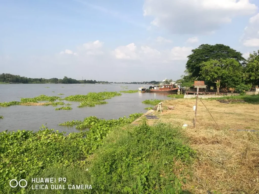 ขายที่ดินเปล่าริมแม่น้ำเจ้าพระยา ติดถนนเมนติดแม่น้ำ