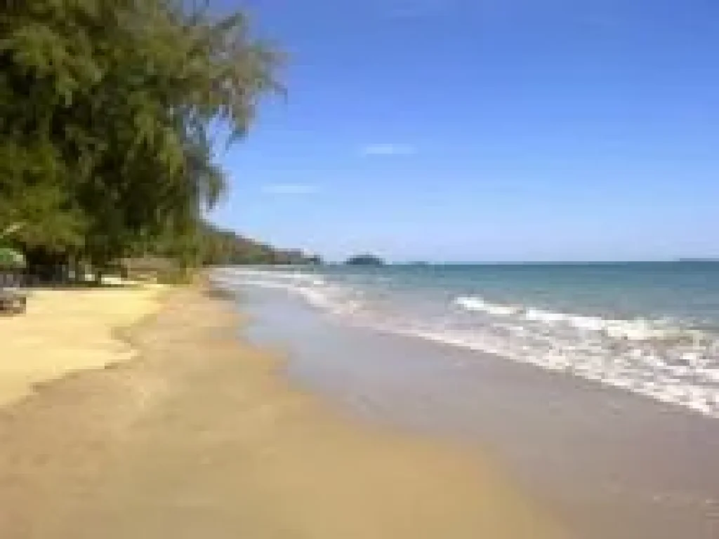 ขายถูก ที่ดินติดทะเลสาป เลียบ หาดแม่พิมพ์ ตรงข้ามโครงการหรู บ้านและโรงแรม 5 ดาว