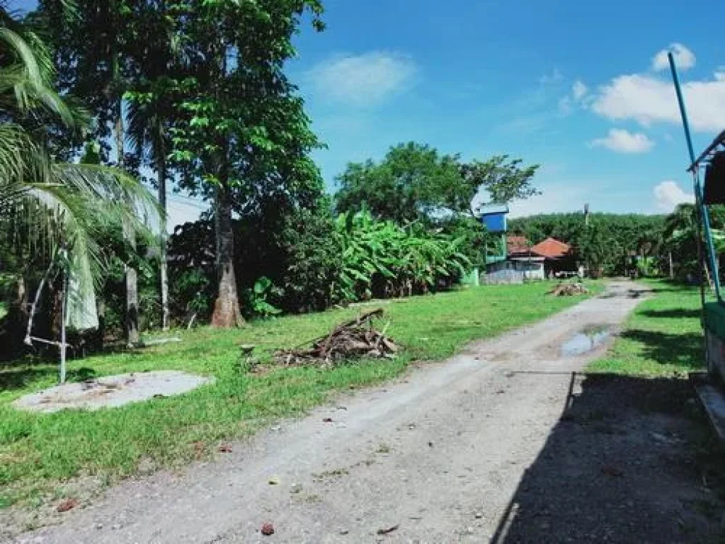 ขายที่ดินพร้อมสิ่งปลุกสร้าง ในถลาง ภูเก็ต